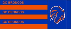 Boise State Go Broncos 40" Windsock by Sewing Concepts - main view