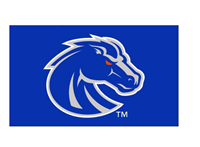 Boise State Flag 3X5 Silver-Ryl Bronco