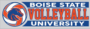 Decal Boise State Volleyball