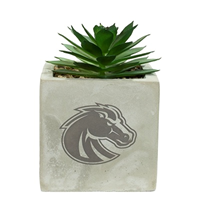 Image of Boise State Mini Potted Succulent Logo