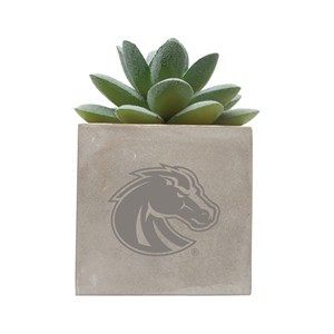 Boise State Mini Potted Faux Succulent - Bronco Logo by Neil Enterprises - 1 (SKU: 13372620526) Boise State Mini Potted Faux Succulent - Bronco Logo by Neil Enterprises - 1