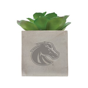Boise State Mini Potted Faux Succulent - Bronco Logo by Neil Enterprises - 2 (SKU: 13372620526) Boise State Mini Potted Faux Succulent - Bronco Logo by Neil Enterprises - 2