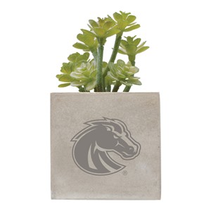 Boise State Mini Potted Faux Succulent - Bronco Logo by Neil Enterprises - 3 (SKU: 13372620526) Boise State Mini Potted Faux Succulent - Bronco Logo by Neil Enterprises - 3