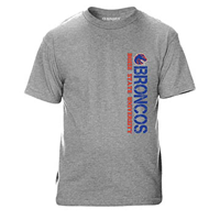 Boise State Tee Vertical Bronco Grey Value