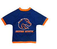 Boise State Dog Mesh Jersey Royal