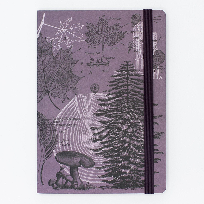 Cognitive Surplus A5 Softcover Notebook, Forest at Dusk (Blank & Lined) (SKU 13433413498) Cognitive Surplus A5 Softcover Notebook, Forest at Dusk (Blank & Lined) - main view