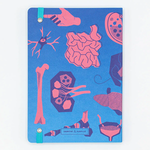 Cognitive Surplus Analysis Softcover Notebook Retro Anatomy (Lined/Blank) - 1 (SKU: 13433383498) Cognitive Surplus Analysis Softcover Notebook Retro Anatomy (Lined/Blank) - 1