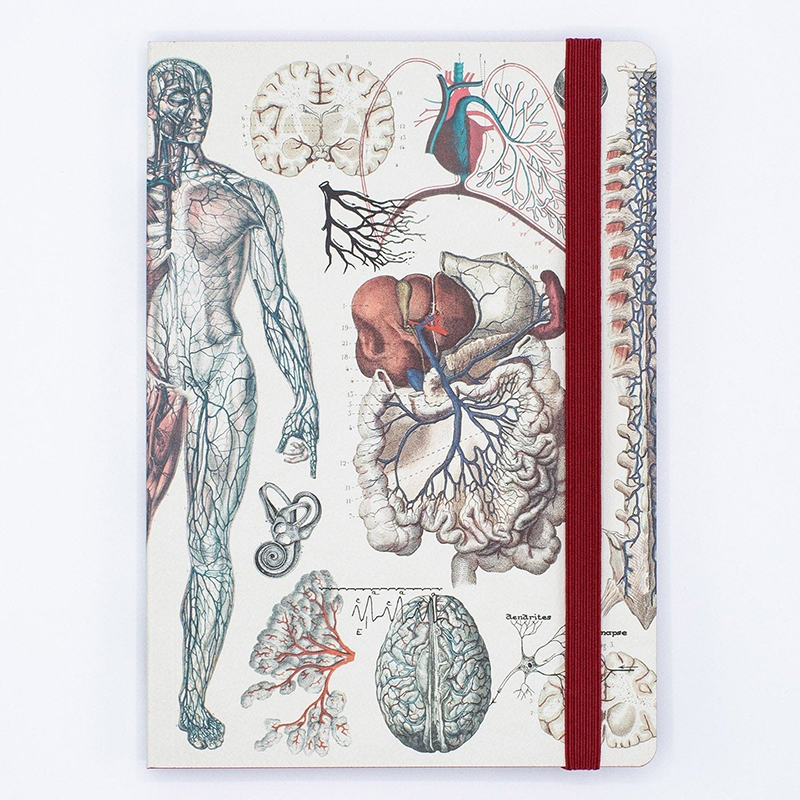 Cognitive Surplus Analysis A5 Softcover Notebook, Anatomy Vascular (Blank/Dotted Line) (SKU 13433390498) Cognitive Surplus Analysis A5 Softcover Notebook, Anatomy Vascular (Blank/Dotted Line) - main view
