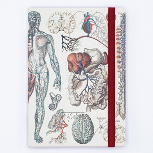 Cognitive Surplus Analysis A5 Softcover Notebook, Anatomy Vascular (Blank/Dotted Line)