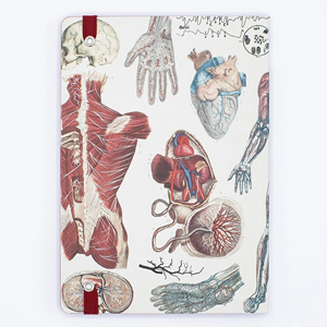 Cognitive Surplus Analysis A5 Softcover Notebook, Anatomy Vascular (Blank/Dotted Line) - 1 (SKU: 13433390498) Cognitive Surplus Analysis A5 Softcover Notebook, Anatomy Vascular (Blank/Dotted Line) - 1