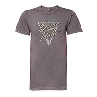 Image of BOISE, ID TEE IN TRIANGLE OVER STATE -  grey