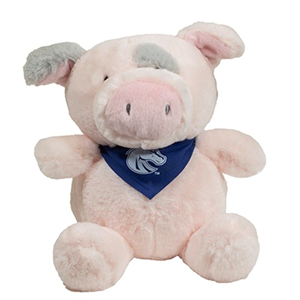Image of BOISE STATE STUBEZ STUFFED ANIMAL -  pig