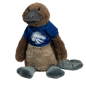 Image of BOISE STATE STUFFED TELLTALE -  platypus