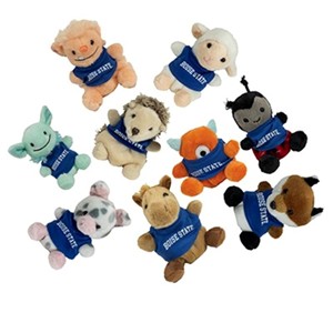 Boise State Palm Pet - main view