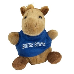 BOISE STATE PALM PET -  pony
