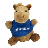 Image of BOISE STATE PALM PET -  pony