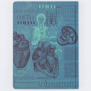 Cognitive Surplus Hypothesis Hardcover Notebook, Cardiology (Lined/Grid) - 1 (SKU: 13447915498) Cognitive Surplus Hypothesis Hardcover Notebook, Cardiology (Lined/Grid) - 1