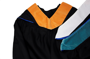 Image of Hood Option 6.9 - Peacock (Public Administration)