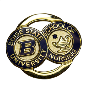Nursing Pin Options 7.2 - Gold 1"