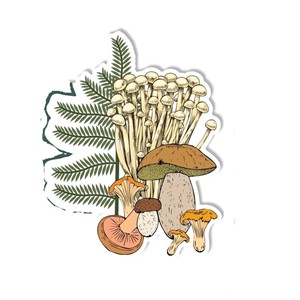 Decal Mushroom Forest - main view
