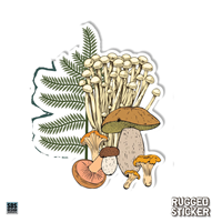 Decal Mushroom Forest