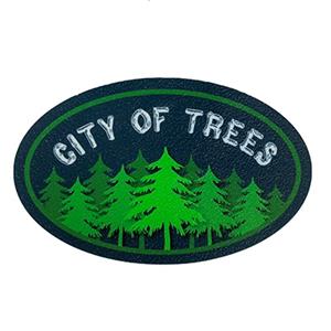 Boise, Id Decal Boise City Of Trees Over Pine Forest